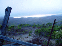 05959_evening-fog~0.gif