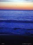 06938_pacific.jpg