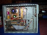 3085_mephi-guts.jpg
