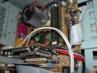 3089_mephi-guts2.jpg