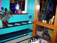 4386_shelf-2.jpg