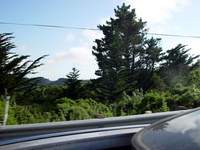 4253_drive-view.jpg