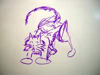 4320_greaseboard-kitty.jpg