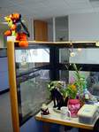06330_inside-cubicile.jpg