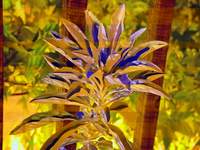05547_sage-depth_overlay.jpg