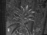 05548_sharp-grey.jpg