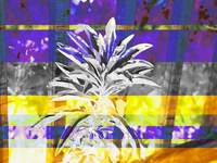 05549-sage-bright-overlay.jpg